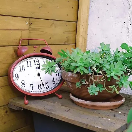 Maison De Charme Proche Gare Et Centre Gaillac