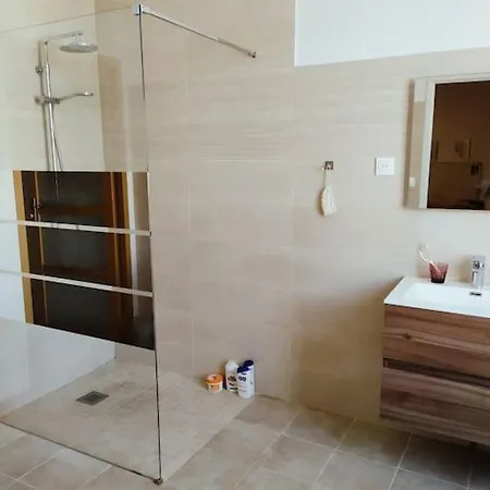 Hébergement de vacances Maison De Charme Proche Gare Et Centre Gaillac