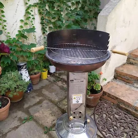 Hébergement de vacances Maison De Charme Proche Gare Et Centre Gaillac